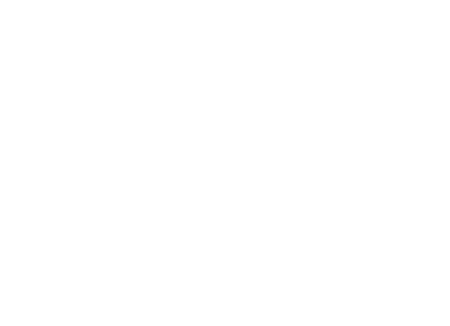Shetlandponyzucht vom Schwalbennest
